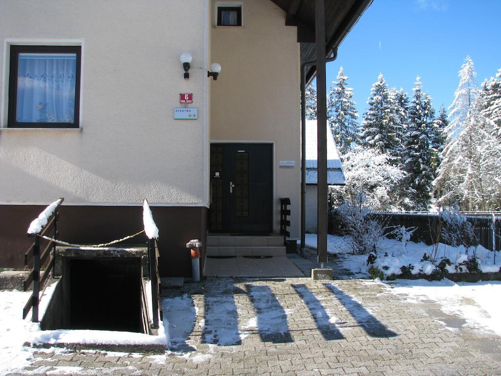 Apartments And Rooms Milena Краньска Гора Экстерьер фото